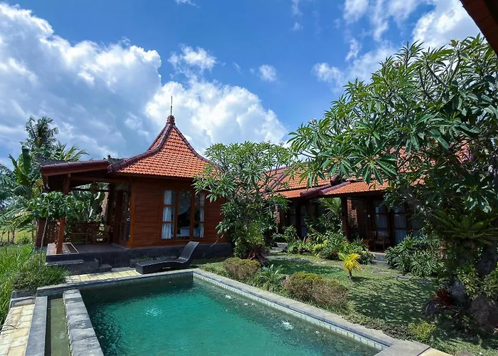 Dapha Eco *